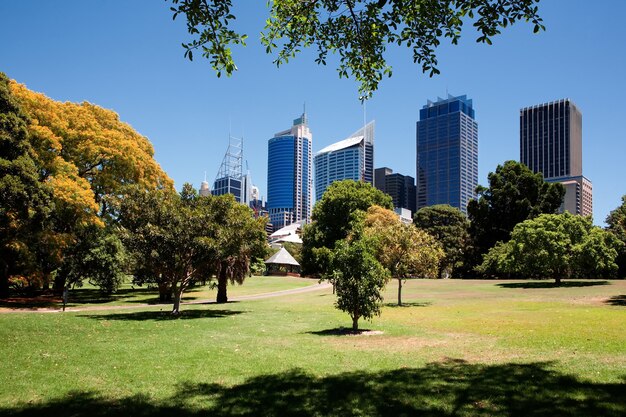 Glen Iris loc